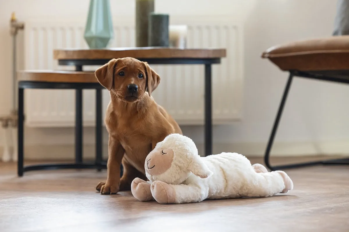Beeztees Puppy Heartbeat Knuffel Bowi - Pluche Hondenspeelgoed 42x18x12cm - Wit