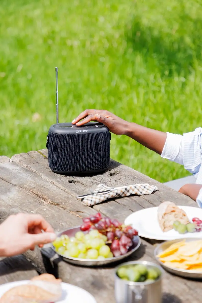 Pure Woodland 253344 Buitenspeaker - Bluetooth FM/DAB+ - 10W - Zwart - afbeelding 2 van 6