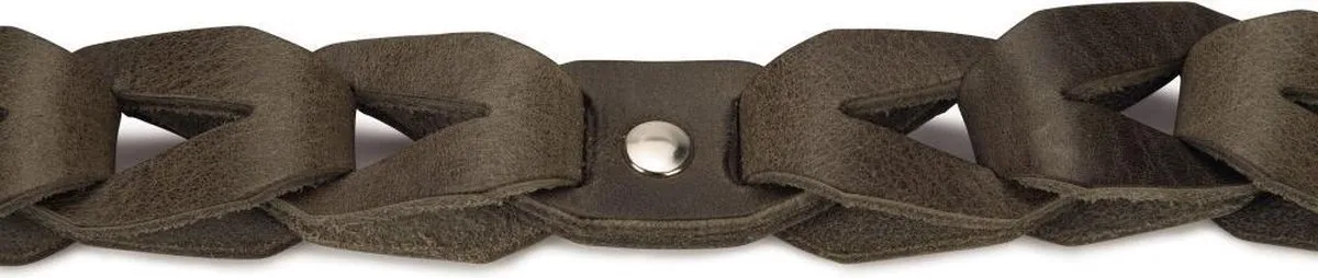 Beeztees Connex Halsband Hond