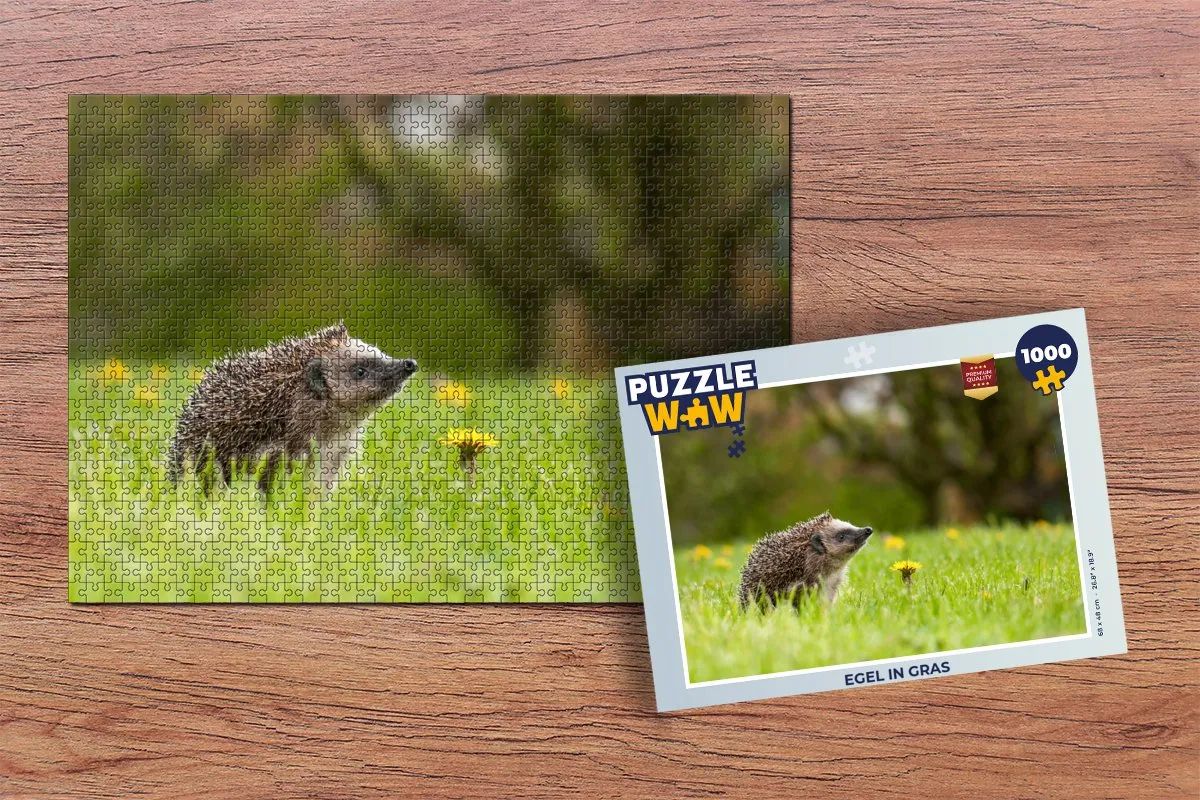PuzzleWow Legpuzzel Egel in gras 1000 Stuks - Multicolor