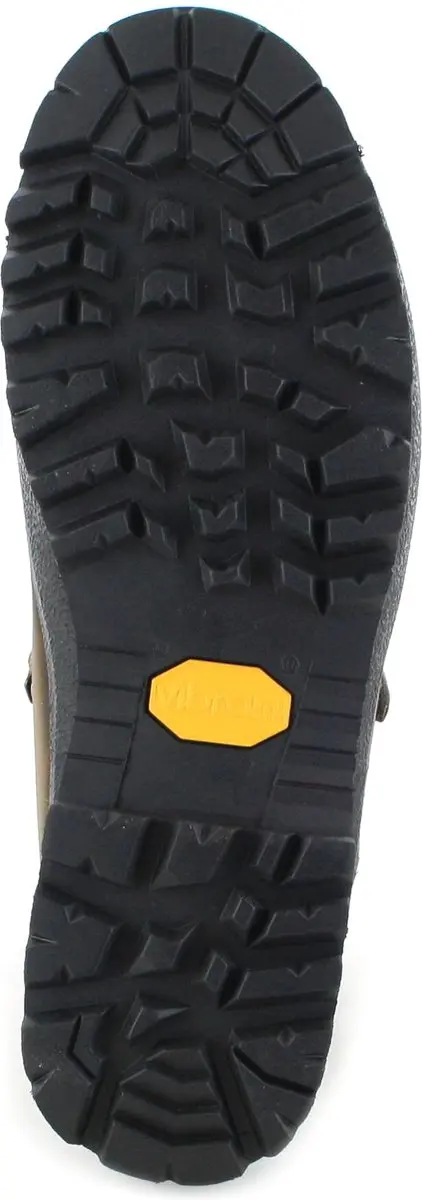 Hanwag Alaska Wide GTX Wandelschoenen Heren - Erde - afbeelding 3 van 6