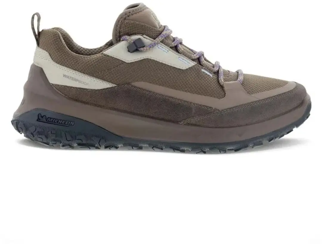 Ecco Ult-trn Gore-tex® Wandelschoenen Bruin EU 37 Vrouw