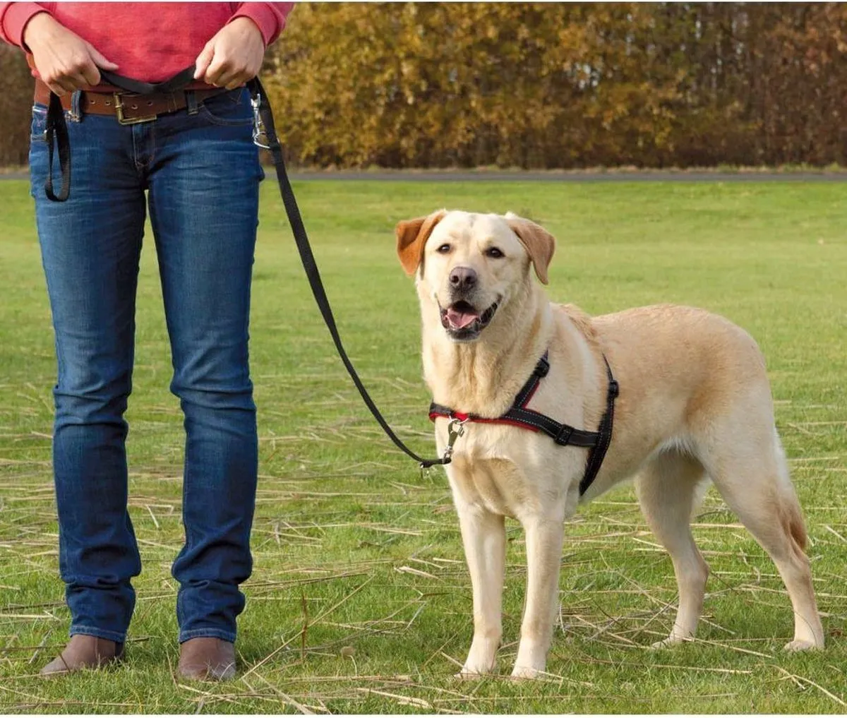 Trixie Lead'N'Walk Zacht Tuig 65-105cm - Zwart