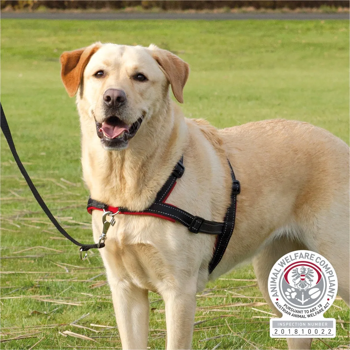 Trixie Lead'N'Walk Zacht Tuig 65-105cm - Zwart