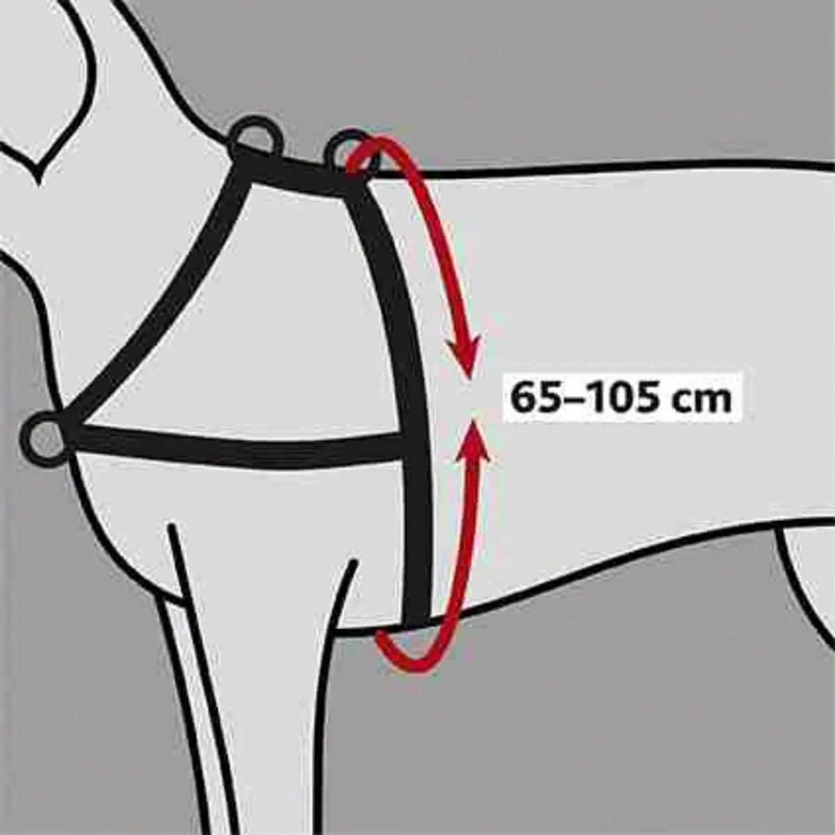 Trixie Lead'N'Walk Zacht Tuig 65-105cm - Zwart