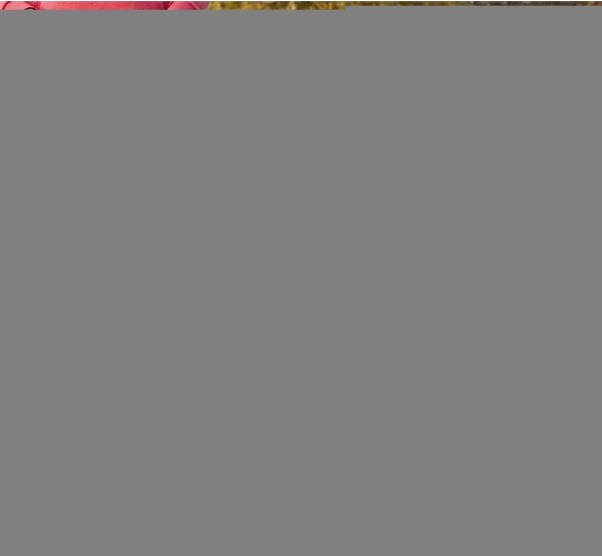 Trixie Lead'N'Walk Zacht Tuig 65-105cm - Zwart - afbeelding 6 van 6