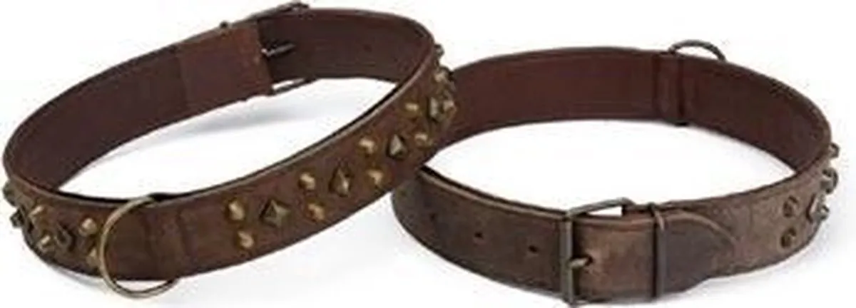 Beeztees Leren Halsband Mohican