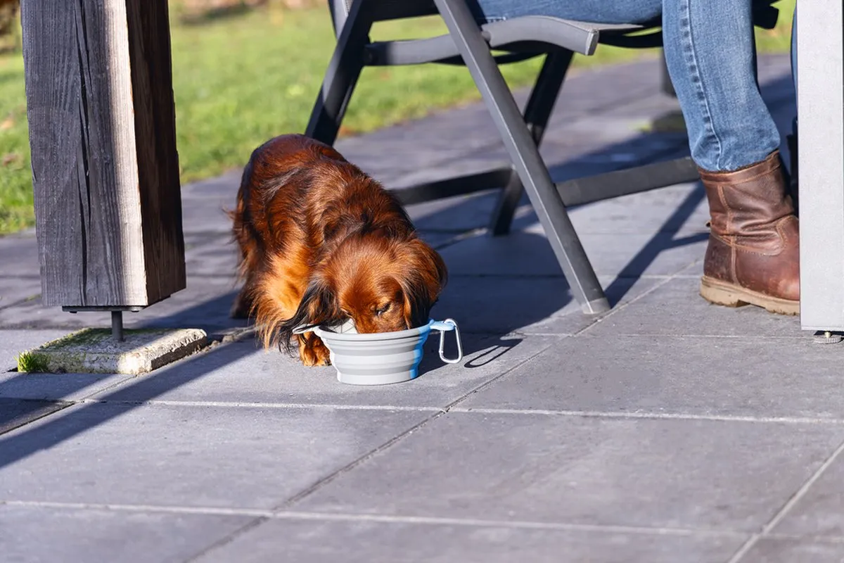 Beeztees Rua Reisbak Hond - Silicone 750ml - Blauw