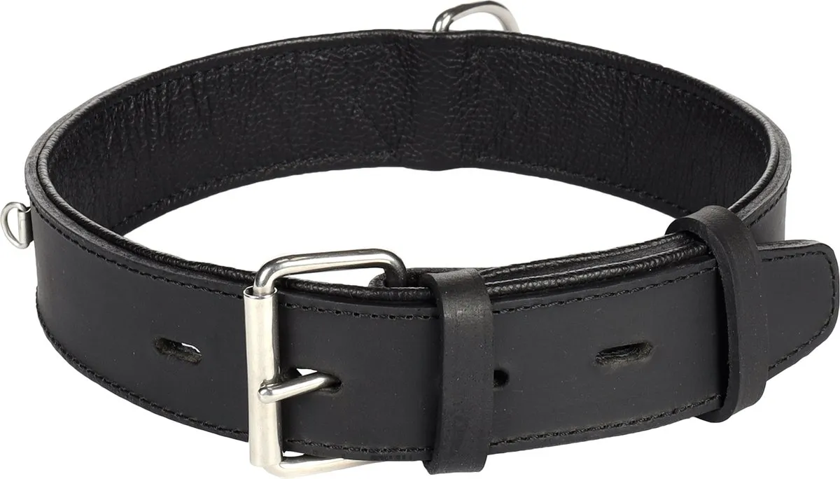 Flamingo Seattle Halsband Honden