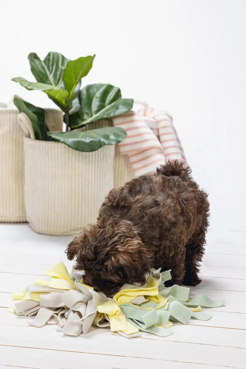 Beeztees Puppy Sniffy Snuffelmat - 22x22x4cm - Multi