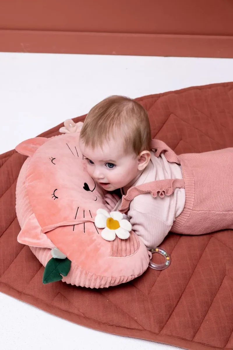Trixie Tummy Time Kussen Mrs. Cat - Roze