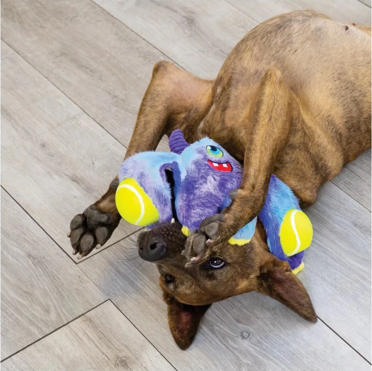 KONG Woozles Monster Assorted Hondenknuffel - Meerkleurig