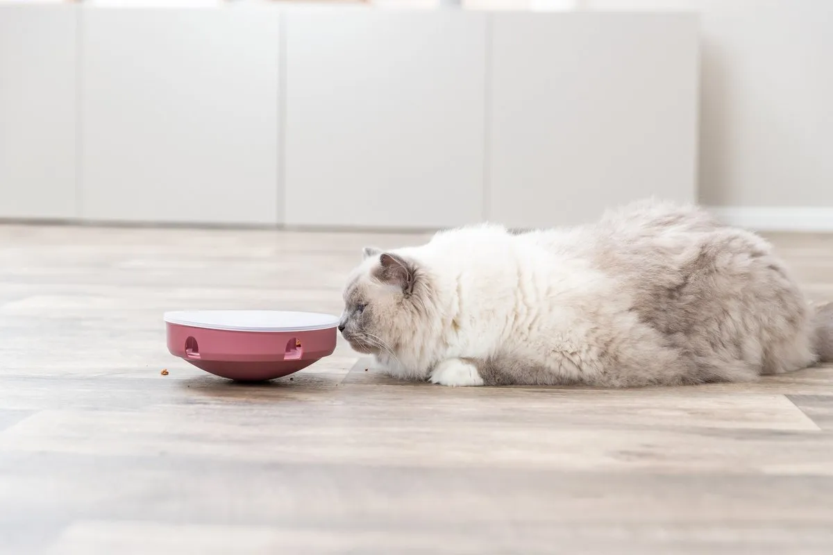 Trixie Cat Activity Rocking Maze - Roze - afbeelding 6 van 6