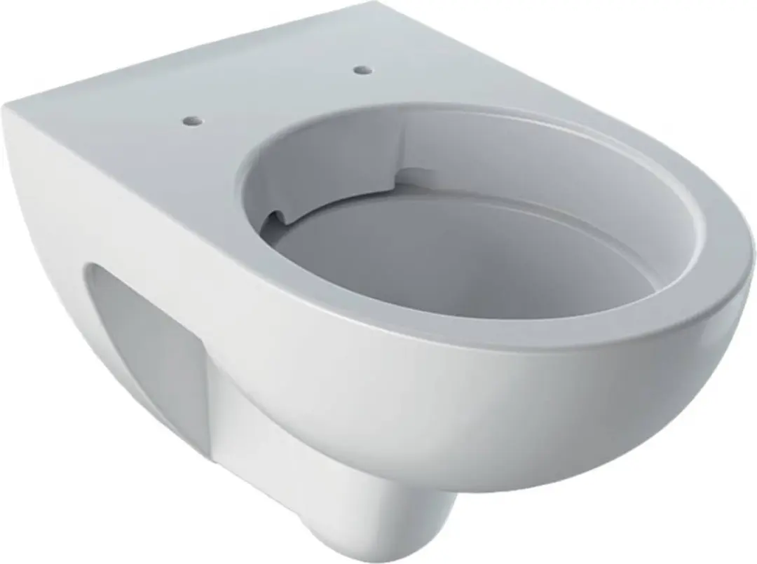 Geberit Renova Wandcloset Rimfree 54cm