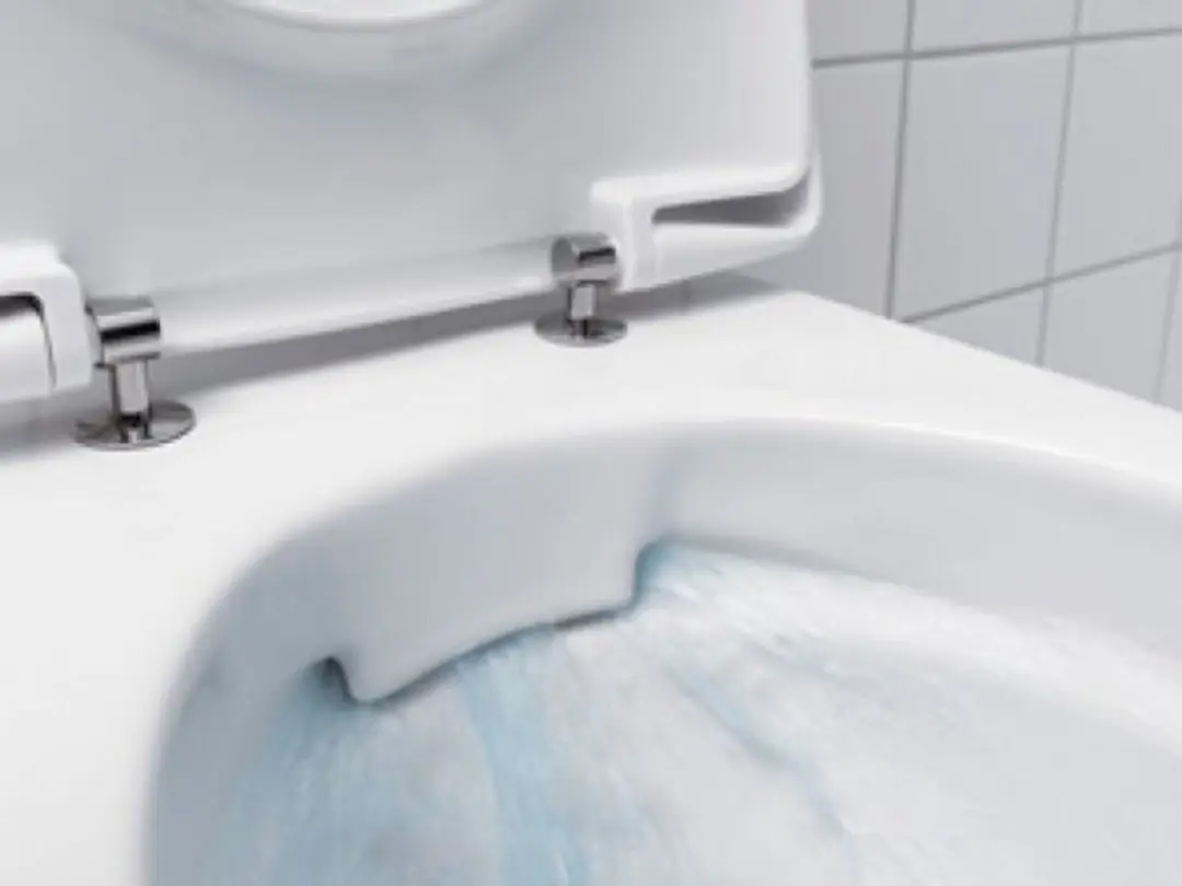 Geberit Renova Rimfree Hangtoilet