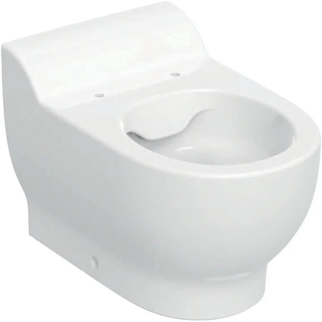 Geberit Bambini Staand Toilet Rimfree
