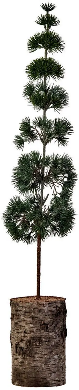 House Doctor Tafelkerstboom Pine groen