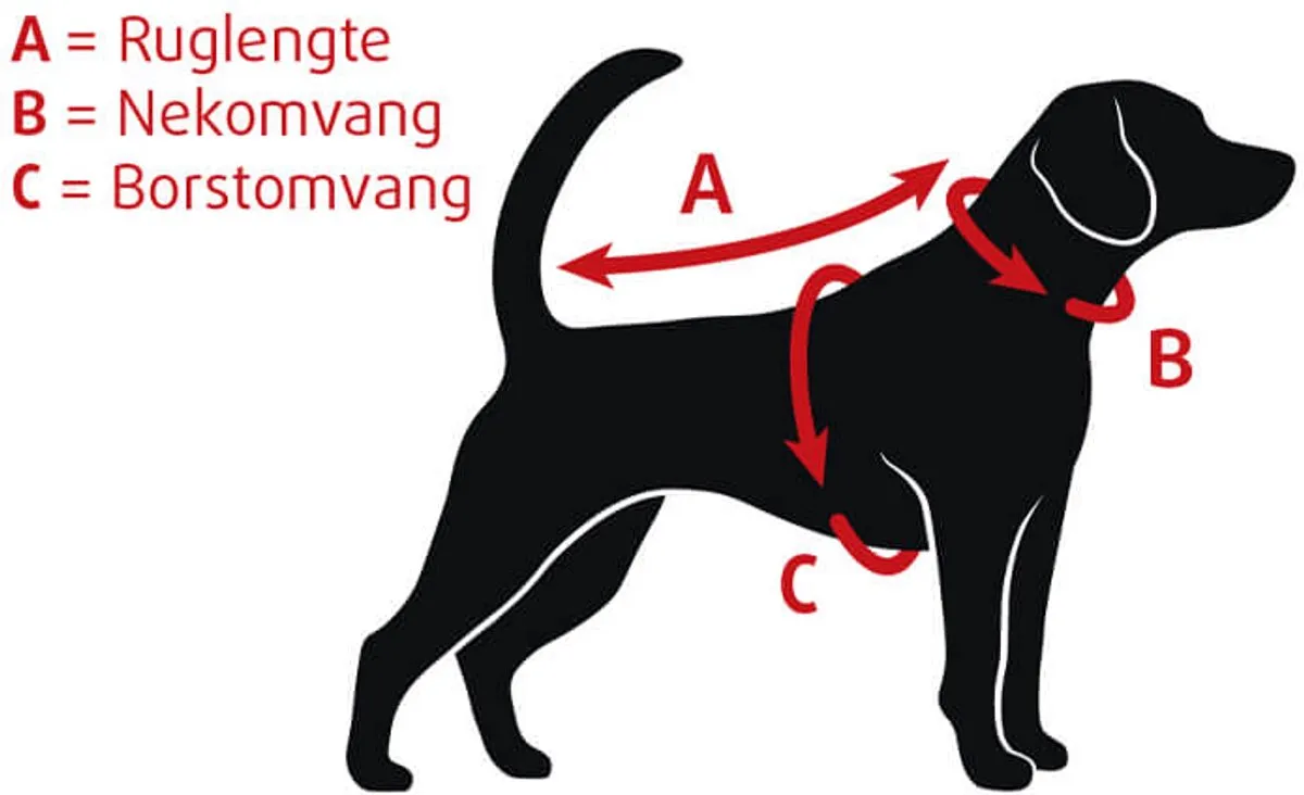 Beeztees Puppy Halsband 22-35cm - 6-delig