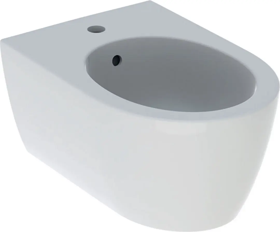 Geberit iCon Wandbidet Wit 501898001
