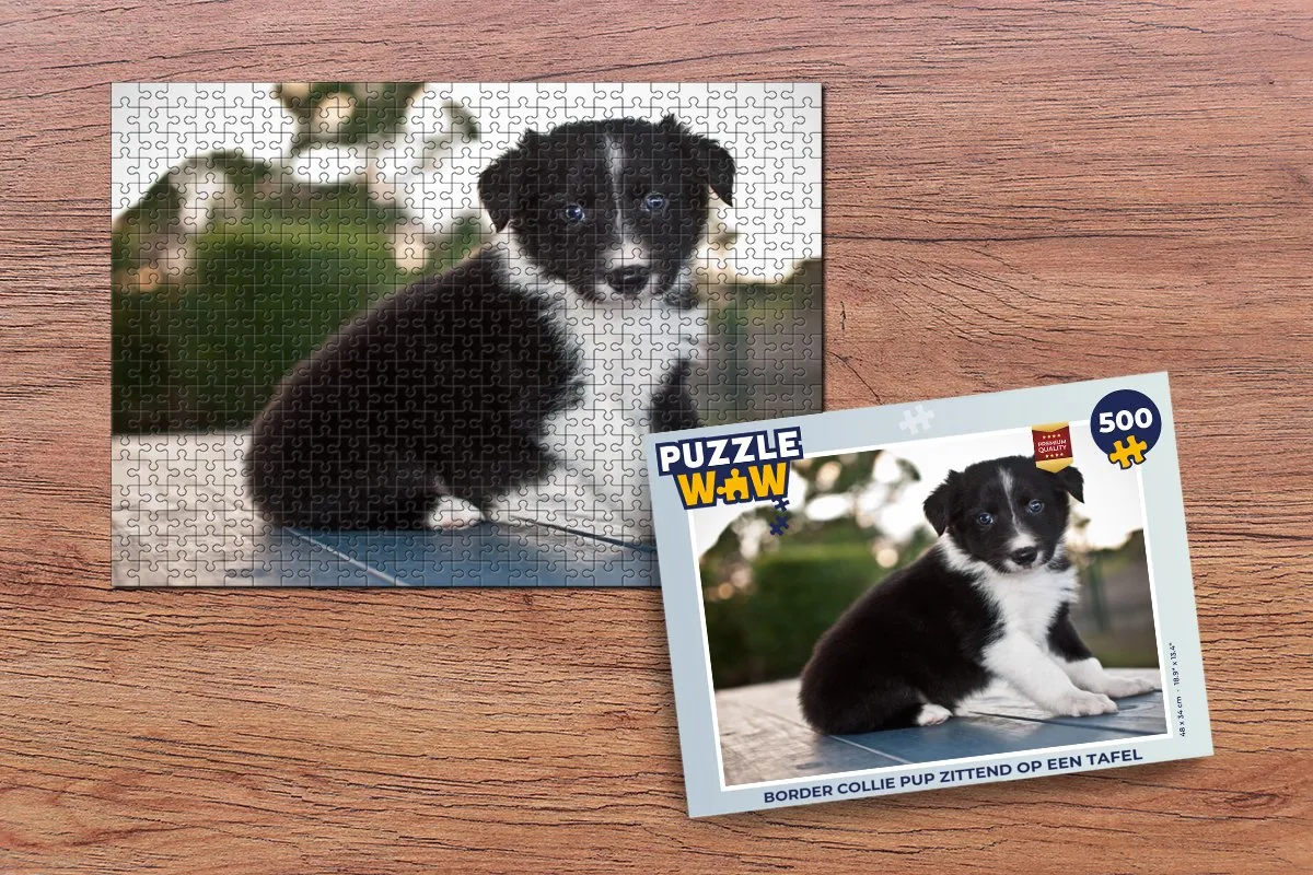 PuzzleWow Legpuzzel Border Collie Pup 500 Stuks - Multicolor
