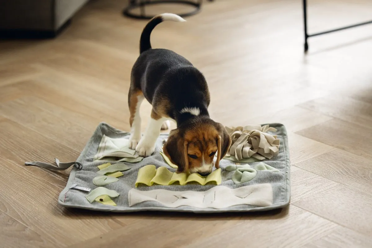 Beeztees Puppy Doeka Snuffelmat - 50x45cm - Grijs