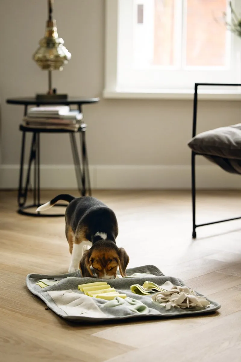 Beeztees Puppy Doeka Snuffelmat - 50x45cm - Grijs