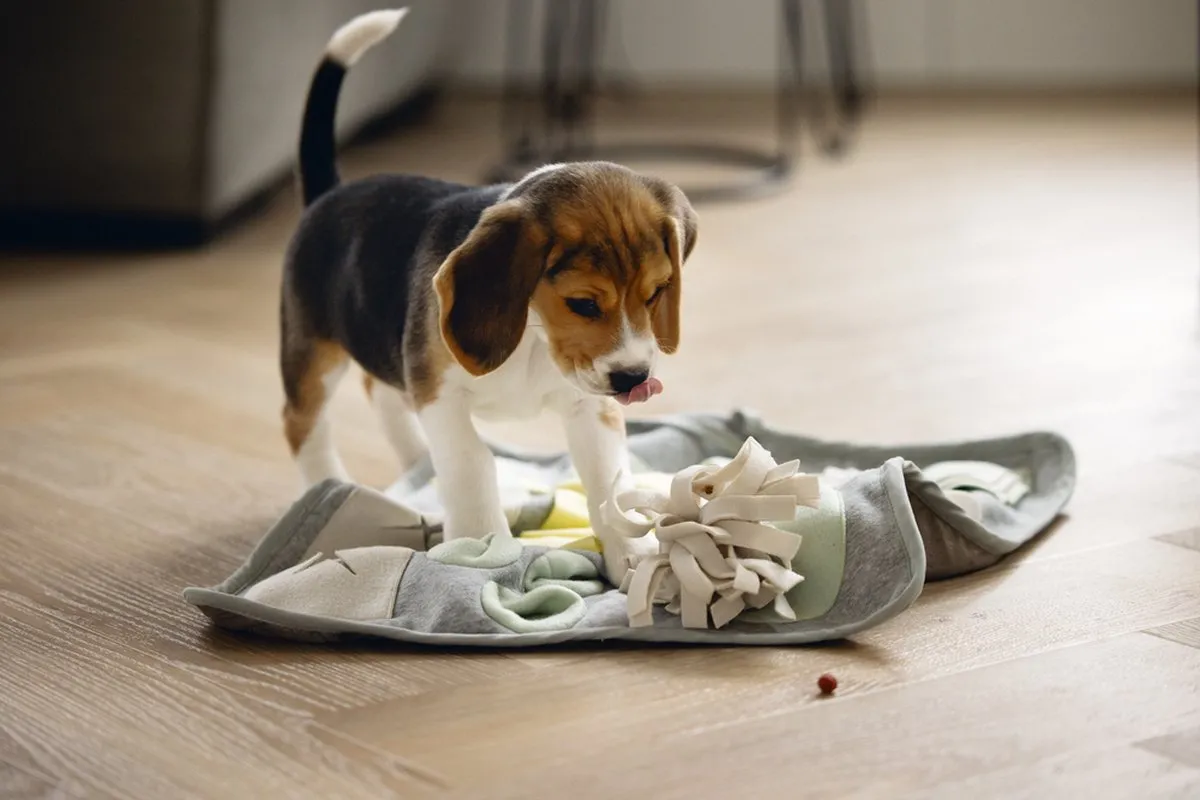 Beeztees Puppy Doeka Snuffelmat - 50x45cm - Grijs