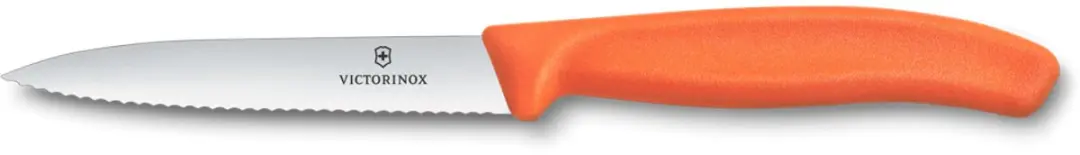 Victorinox Swiss Classic schilmes 10 cm