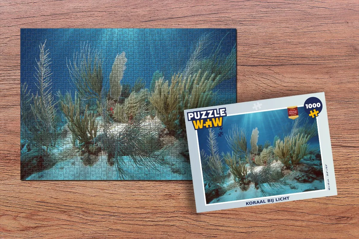 PuzzleWow Legpuzzel Koraal bij licht 1000 Stuks - Multicolor