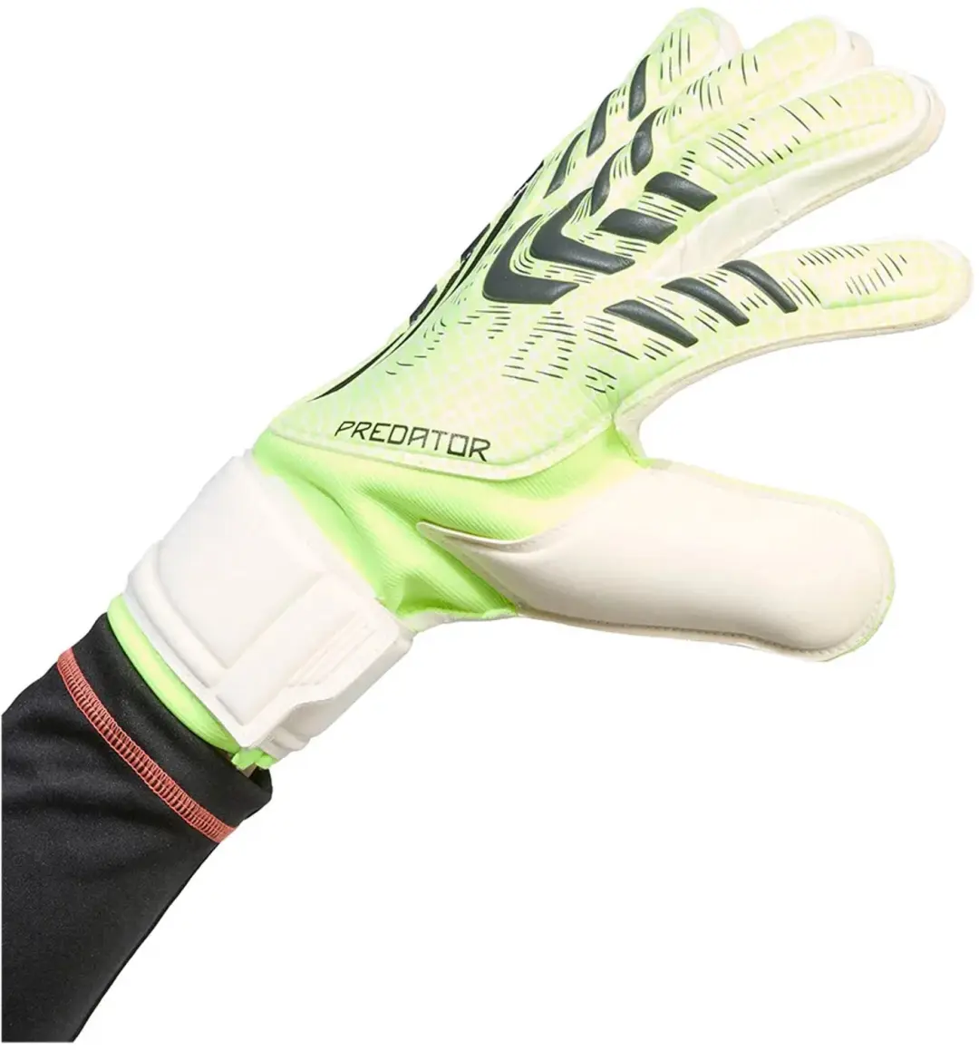 adidas Predator Match Keepershandschoenen JN5351 - Groen - afbeelding 2 van 6