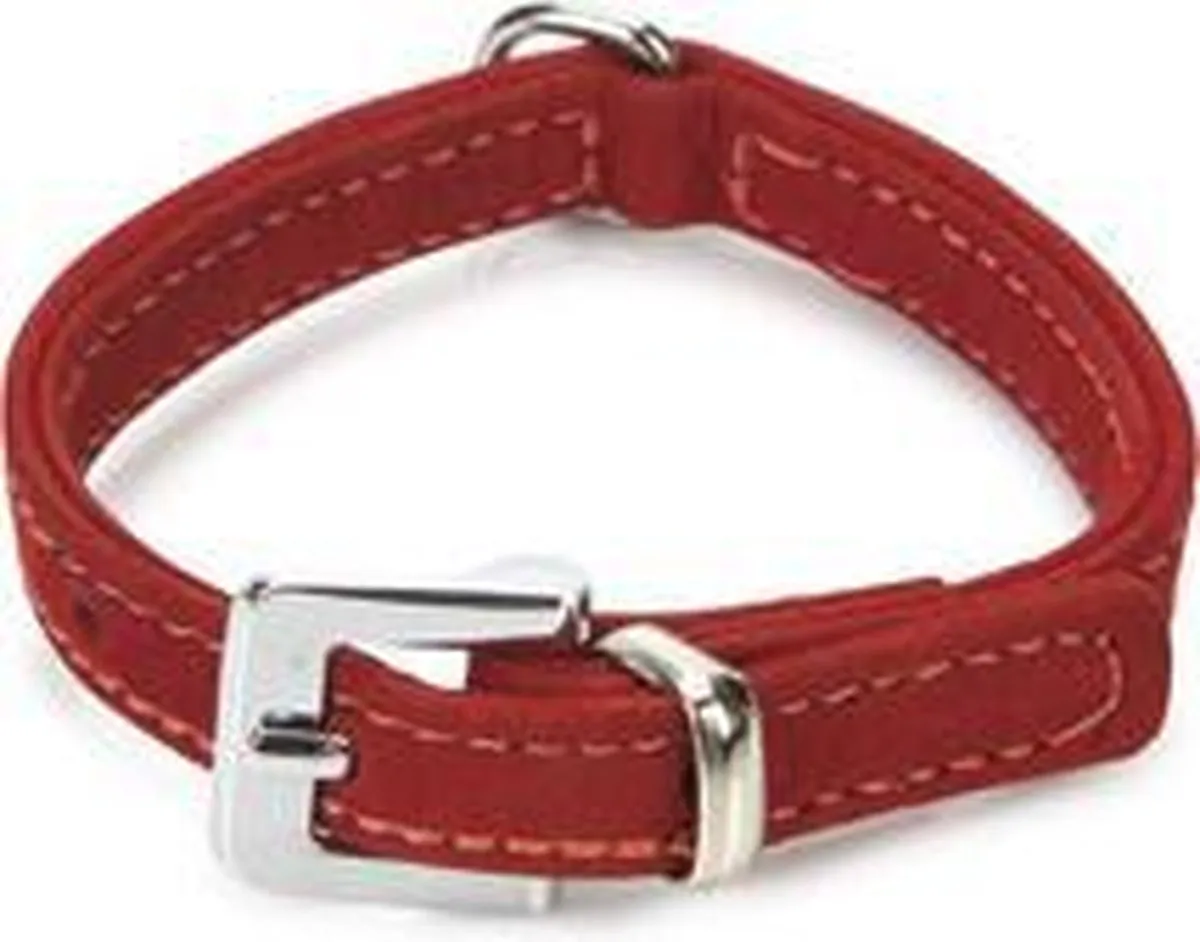 Beeztees Leren Halsband Buffalo Strass Rood 24cm x 10mm