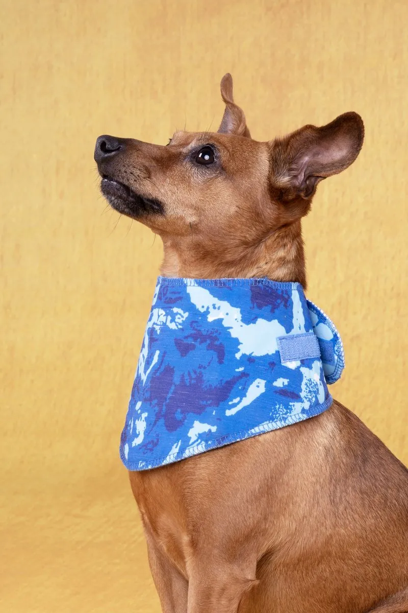 Flamingo Fresk Vrio Koelbandana Honden - Blauw 44-52cm