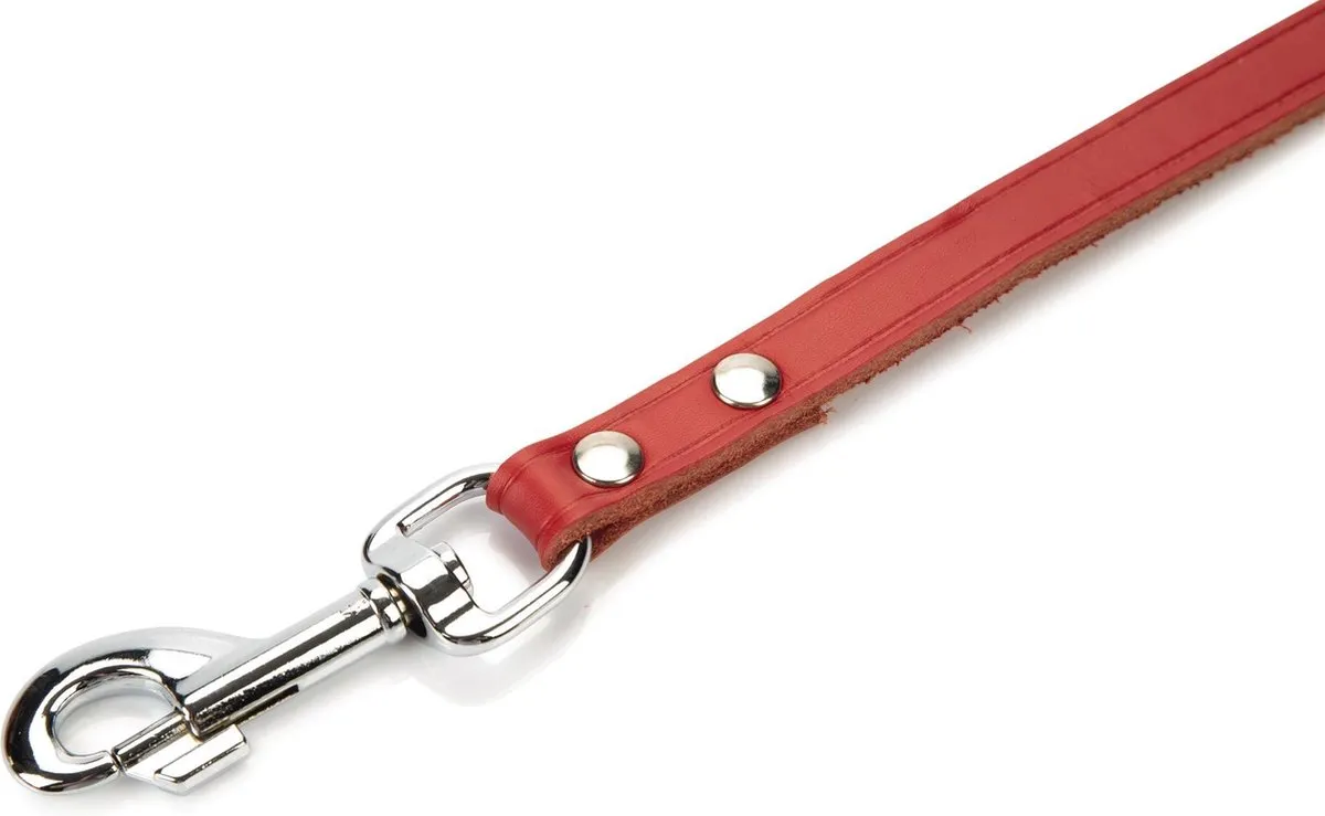 Beeztees Hondenriem Rood 100x16cm