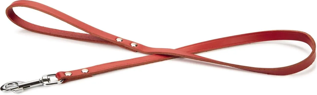 Beeztees Hondenriem Rood 100x16cm