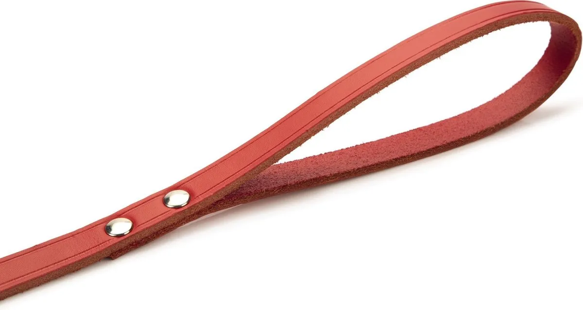 Beeztees Hondenriem Rood 100x16cm