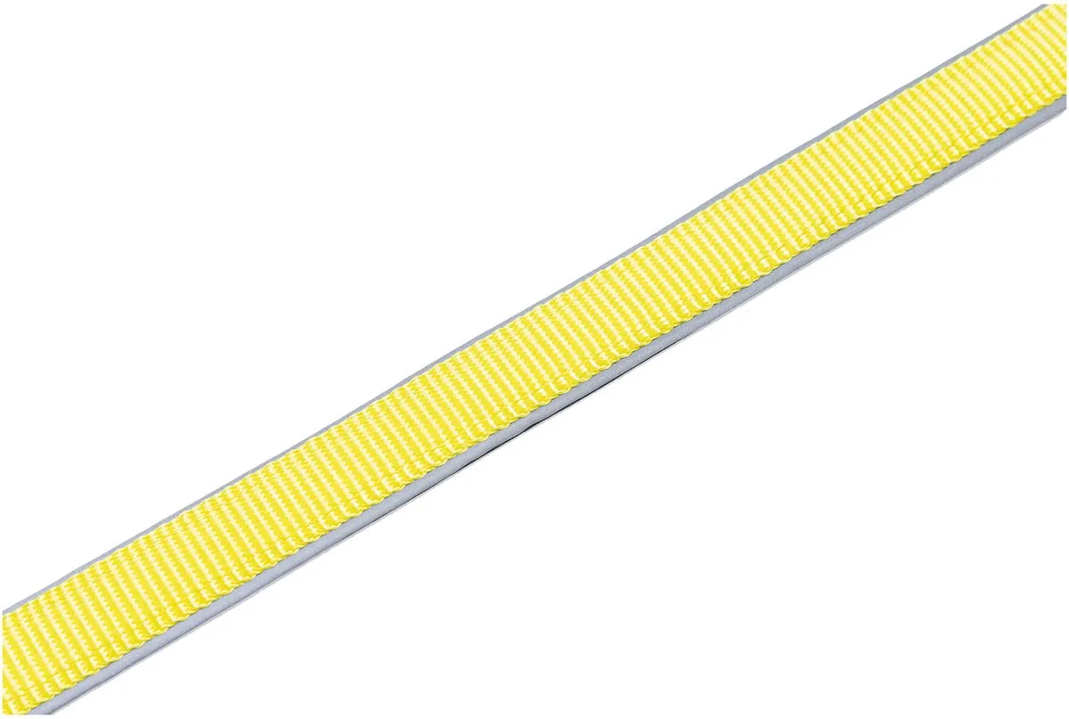 Beeztees Parinca Premium Hondenriem - LED - Geel - 150x2,5cm