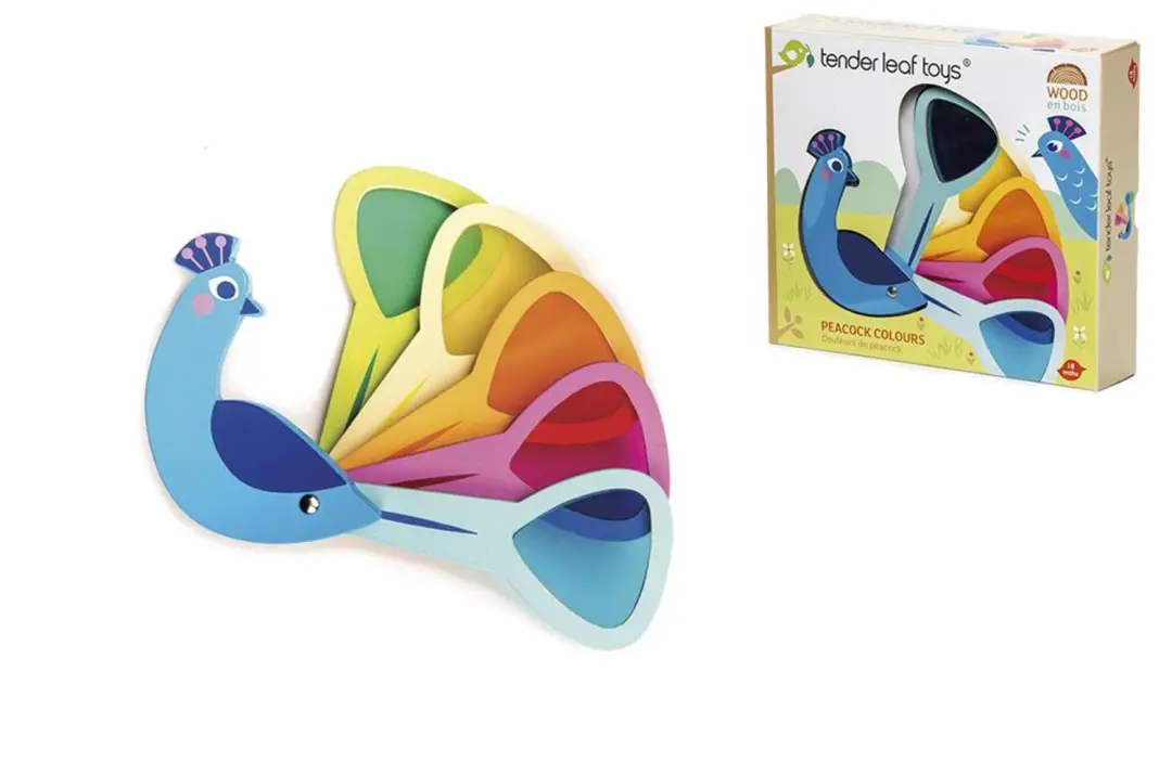 Tender Leaf Preschool: PAUWENKLEUREN 19,5x4,5x10,2cm, 5 staartveren met gekleurd