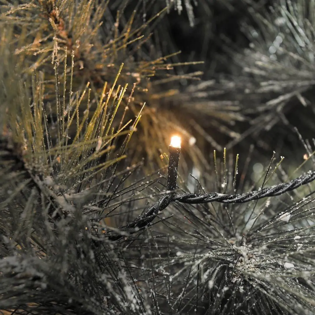 Konstsmide 6544-870 Kerstboomverlichting met app Buiten Energielabel: E (A