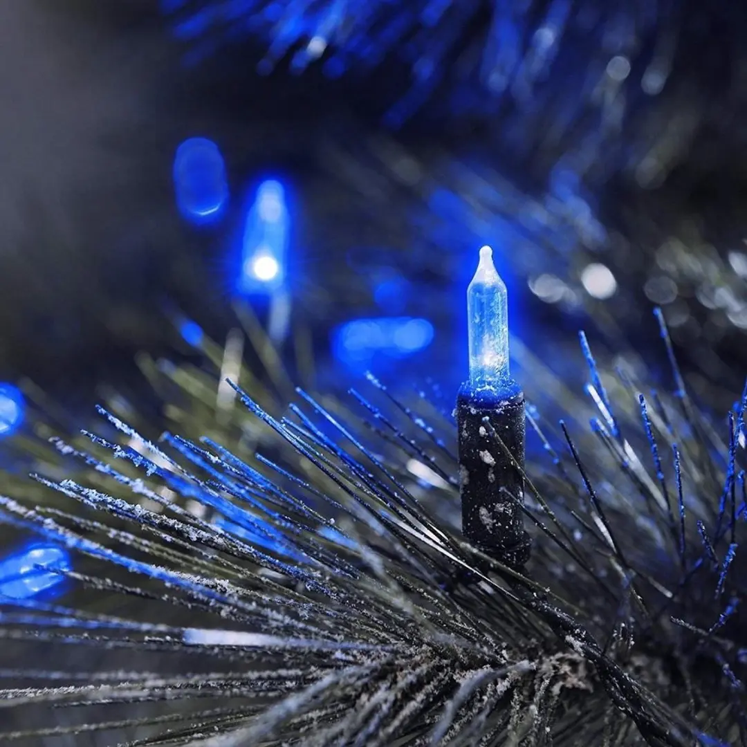 LED mini-lichtketting 80 lampjes blauw buitenverlichting / Binnenverlichting Kon