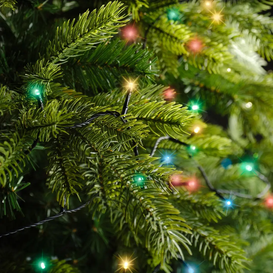 Lumineo Feeënlichtjes 18m LED Kerstboomverlichting - 240 Lampjes - afbeelding 3 van 6