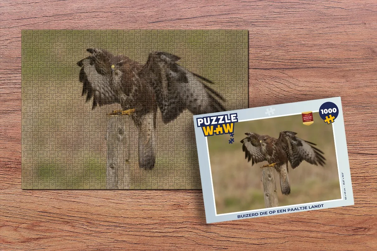 PuzzleWow Legpuzzel Buizerd op Paaltje 1000 Stuks - Multicolor