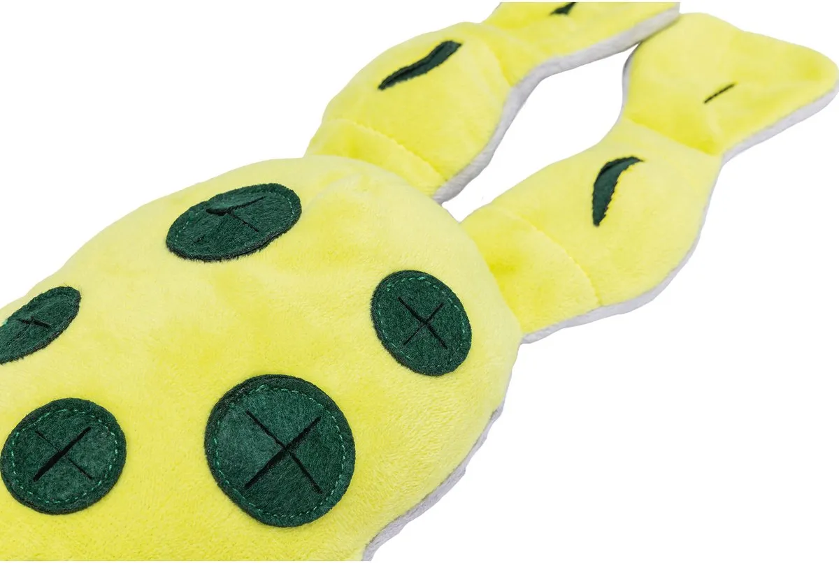 Beeztees Hide And Seek Kikker - Geel/Grijs/Groen