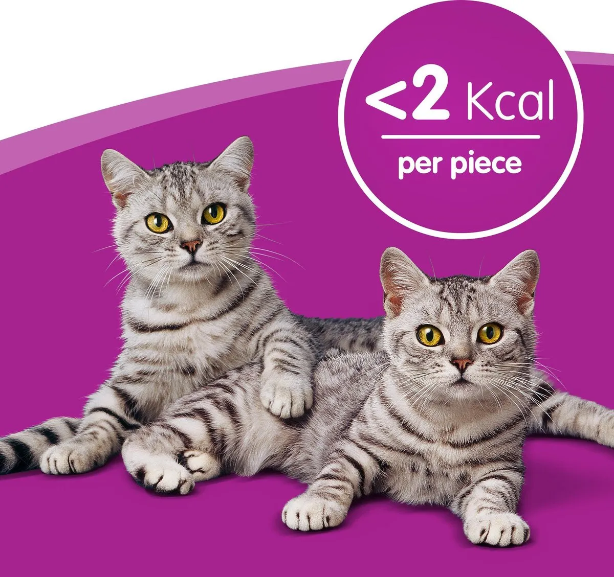 Whiskas Temptations Snoepjes Zalm 8x60g