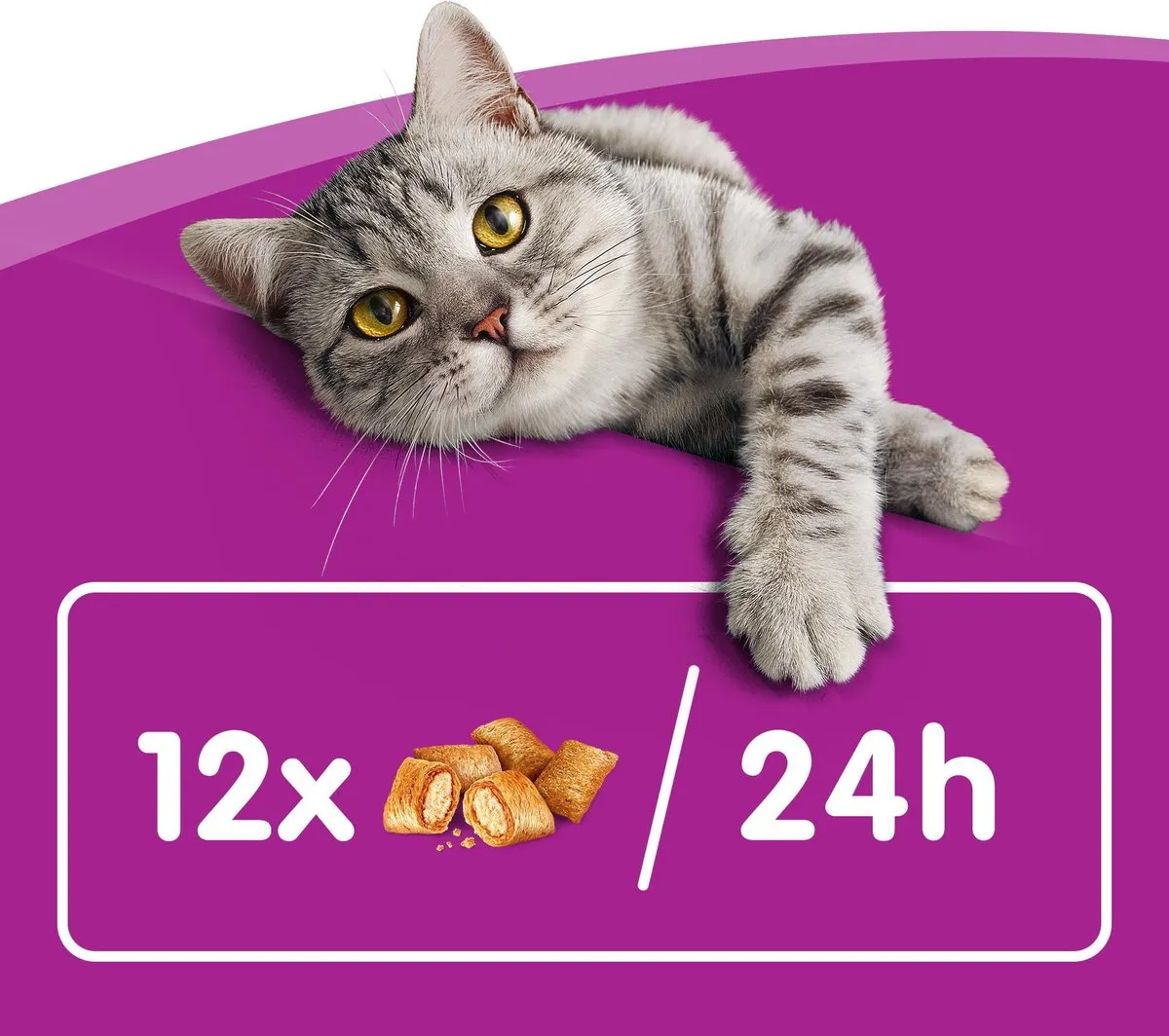 Whiskas Temptations Snoepjes Zalm 8x60g