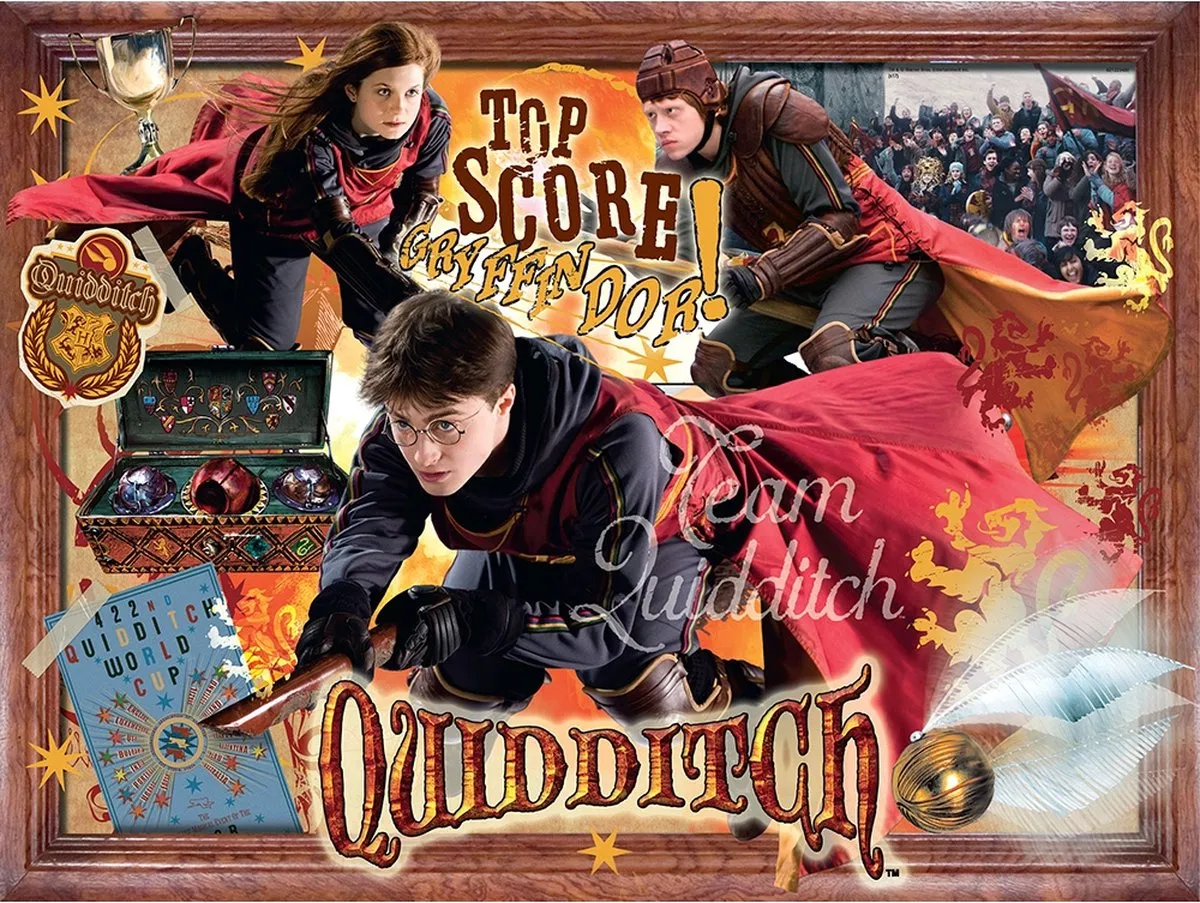 Harry Potter Quidditch Puzzle 1000 Stuks - Multicolor