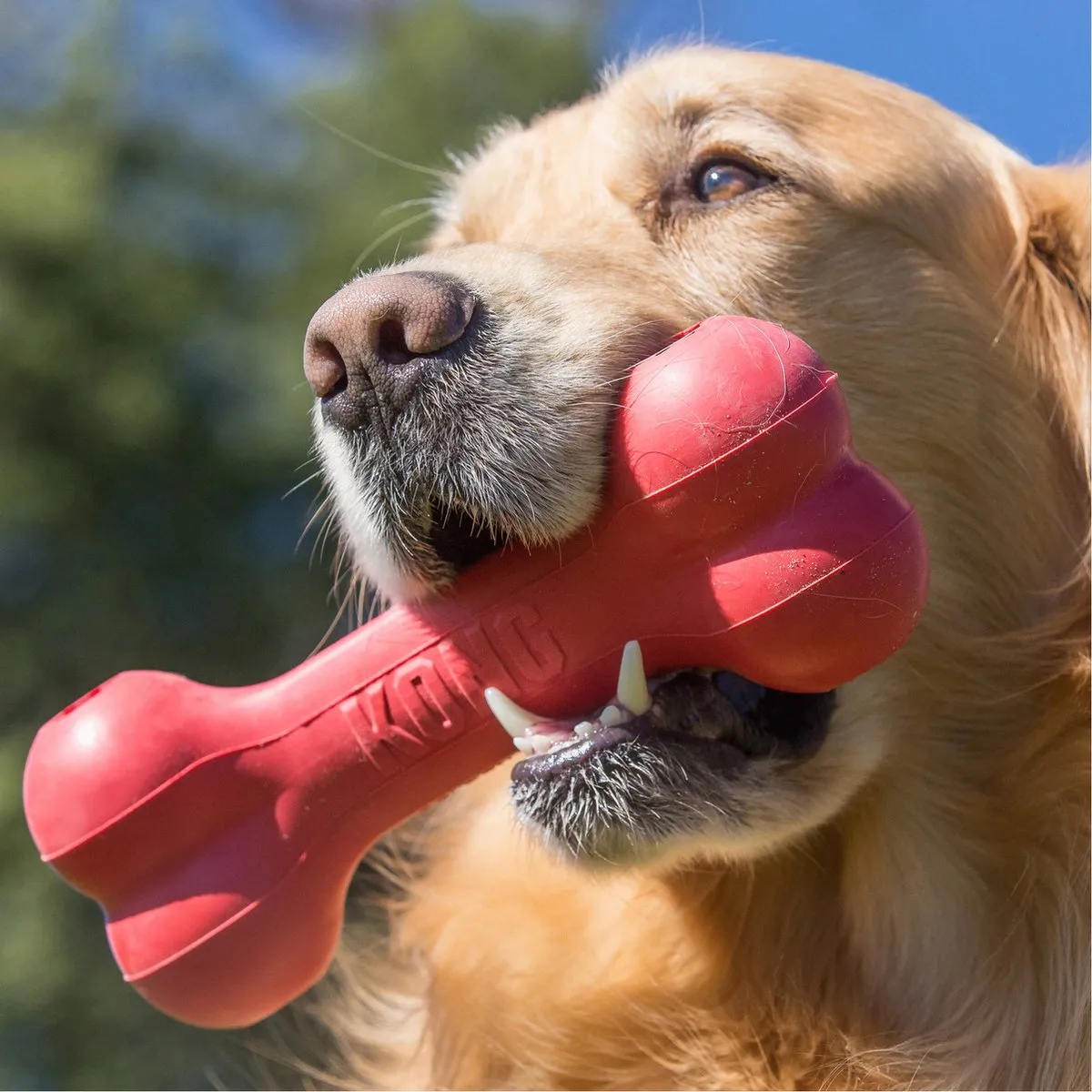 KONG Extreme Goodie Bone L - Hondenspeelgoed 22cm - Rood