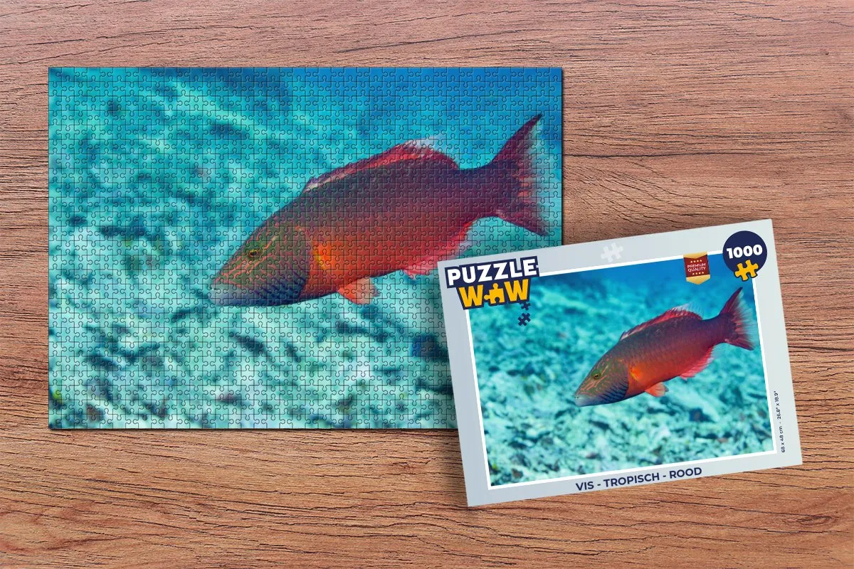 PuzzleWow Vis Tropisch Legpuzzel 1000 Stuks - Multicolor