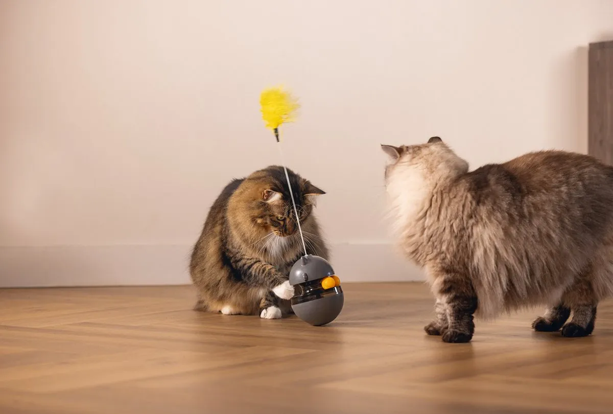 Beeztees Wibol Interactief Kattenspeelgoed - Grijs