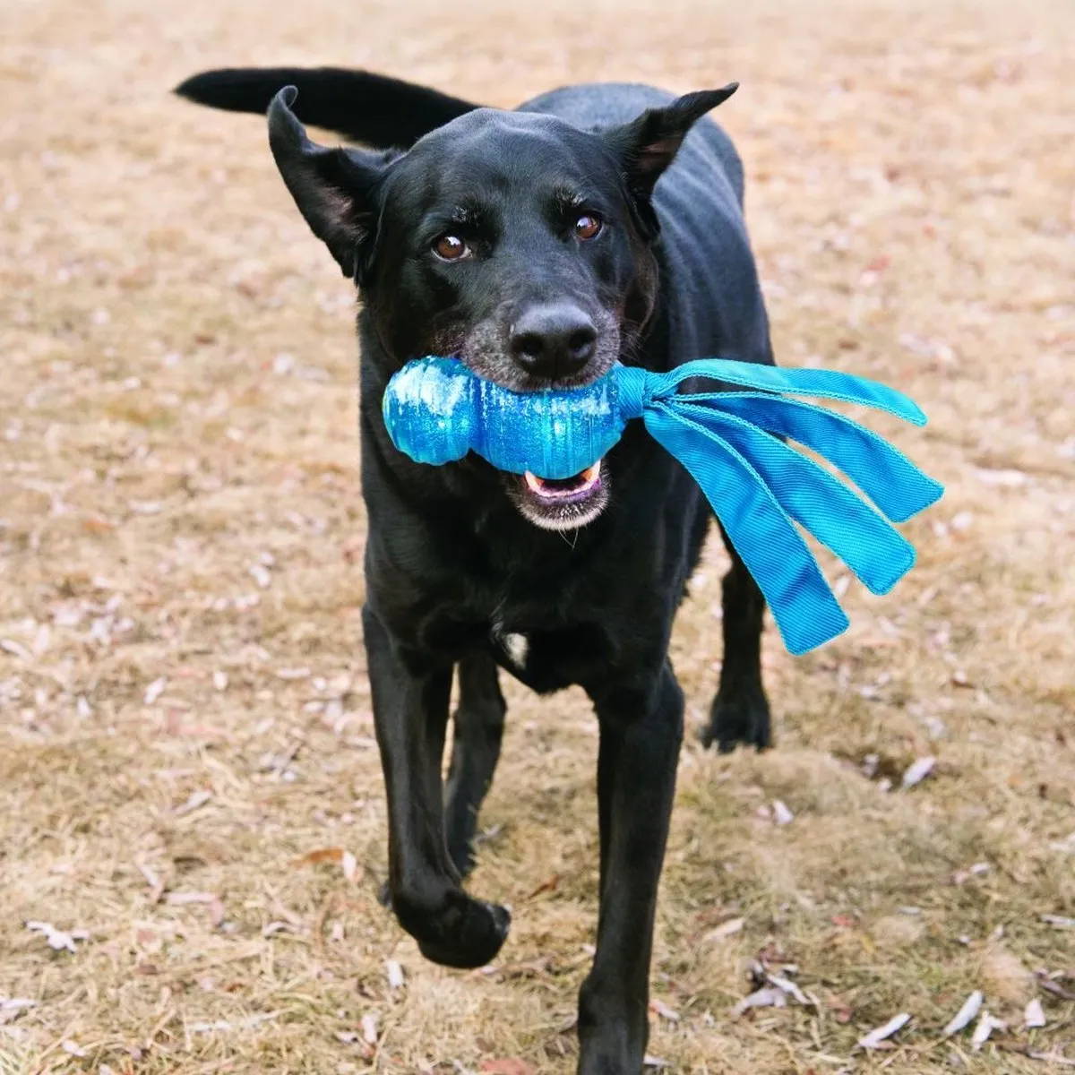 KONG Wubba Comet Hondenspeelgoed - S - Assorti
