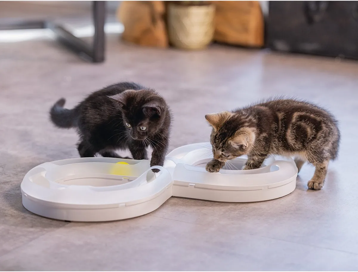 Beeztees Kitten Speelrail AGTY - Kattenspeelgoed - 50x24x5,5cm - Wit/Geel